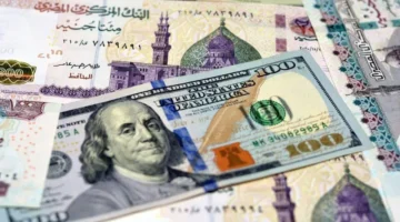 تحديثات الأسعار.. استقرار سعر الدولار في البنوك المصرية خلال تعاملات الجمعة 9 يناير